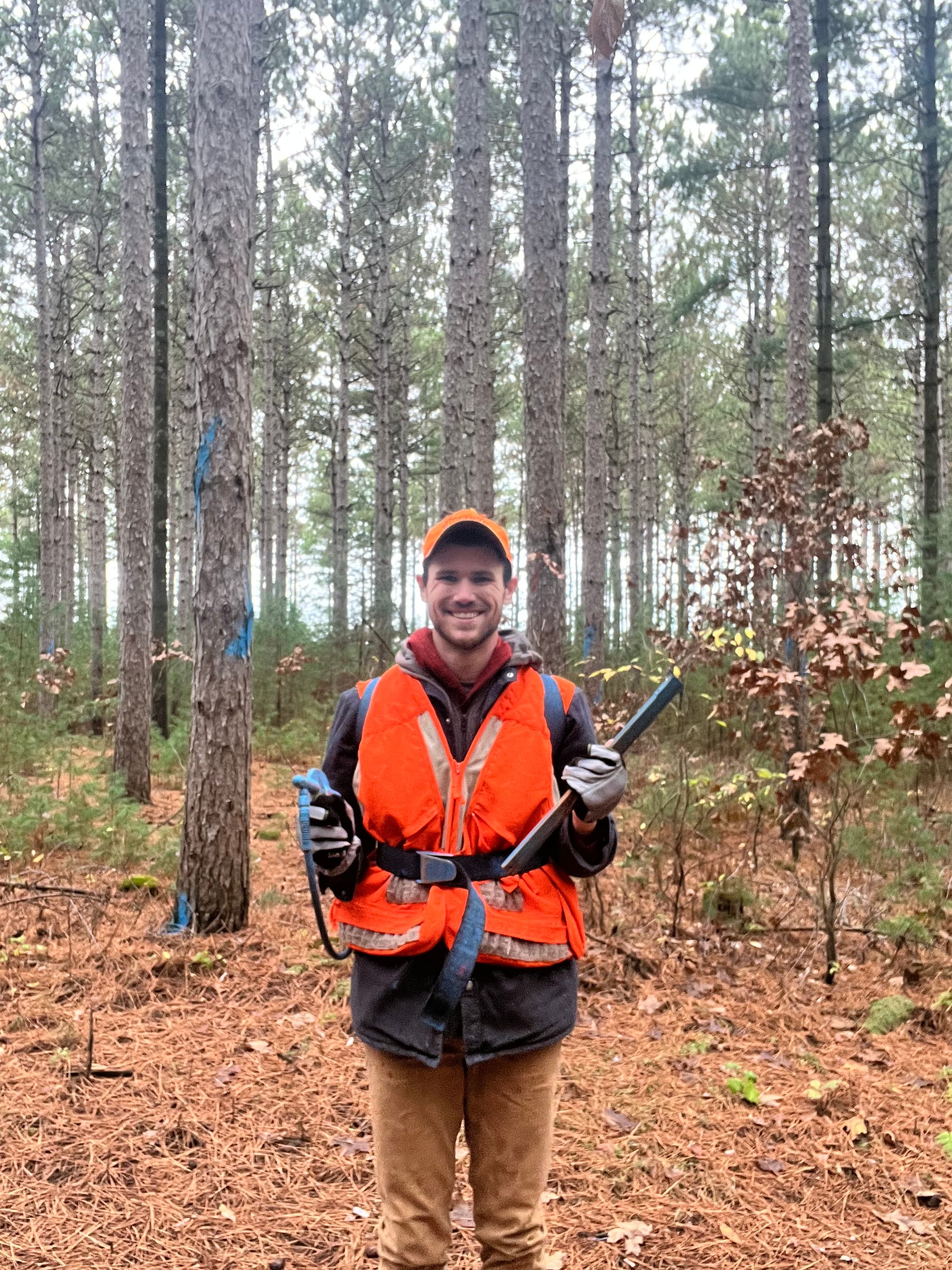 Tyler VanVonderen conducting forestry fieldwork in a pine stand
